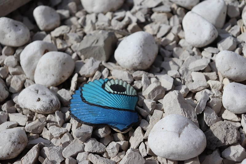 Upcycled outdoor crafts